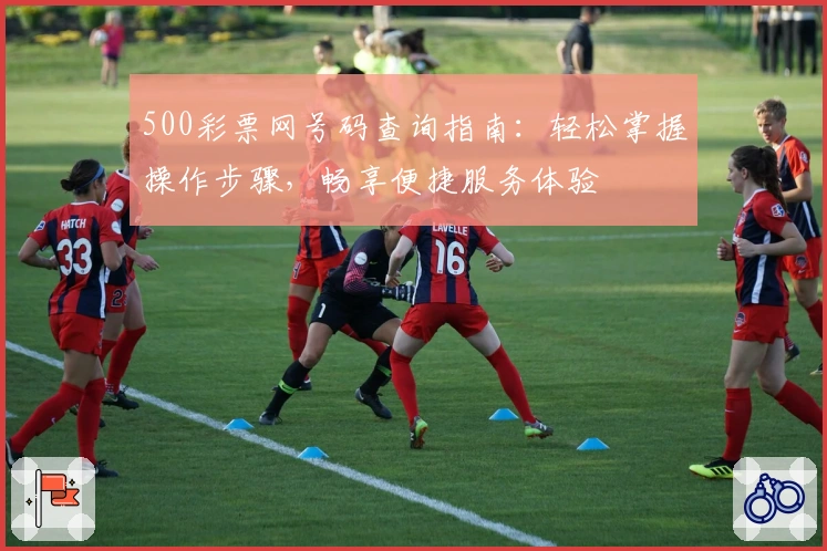 500彩票网号码查询指南：轻松掌握操作步骤，畅享便捷服务体验