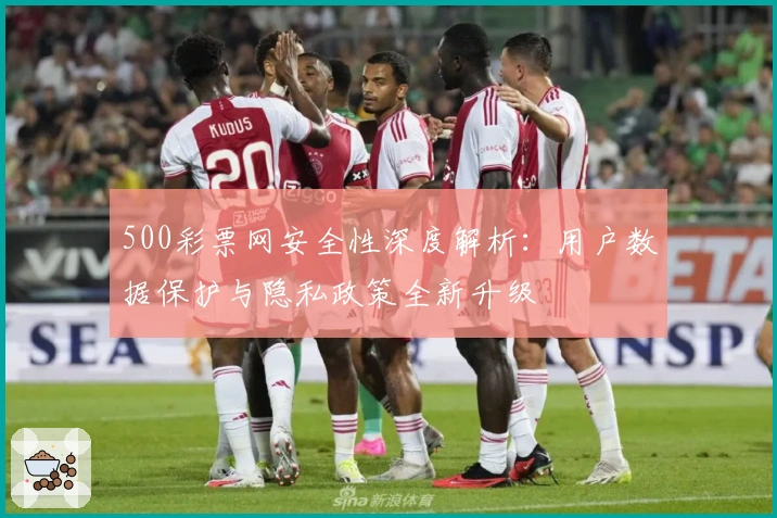 500彩票网安全性深度解析：用户数据保护与隐私政策全新升级