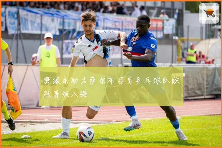 樊振东助力萨尔布吕肯乒乓球队欧冠晋级八强