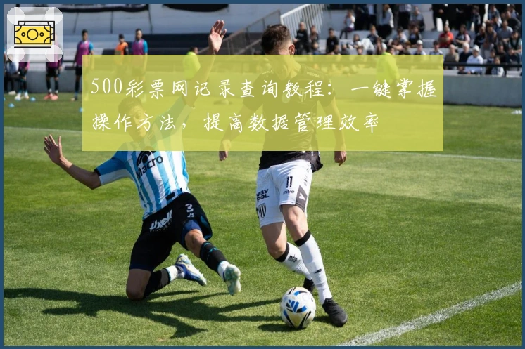 500彩票网记录查询教程：一键掌握操作方法，提高数据管理效率