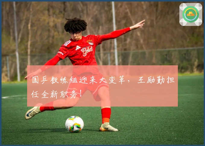 国乒教练组迎来大变革，王励勤担任全新职务！