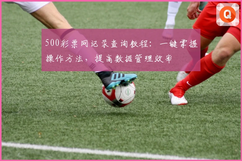 500彩票网记录查询教程：一键掌握操作方法，提高数据管理效率
